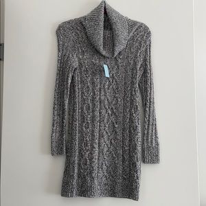 NWT Petite Loft Sweater dress
